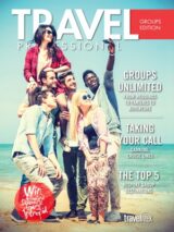 Travel Professional Groups