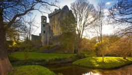 CIE Tours celebrates St. Patty’s Day with best airfare deal of the year