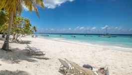 Tourism minister promotes safety of D.R. at industry event