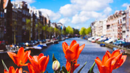 Avalon introduces new Tulip Time cruises for 2020