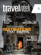 Travel Professional Fall 2021