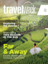 Travel Professional Fall 2022